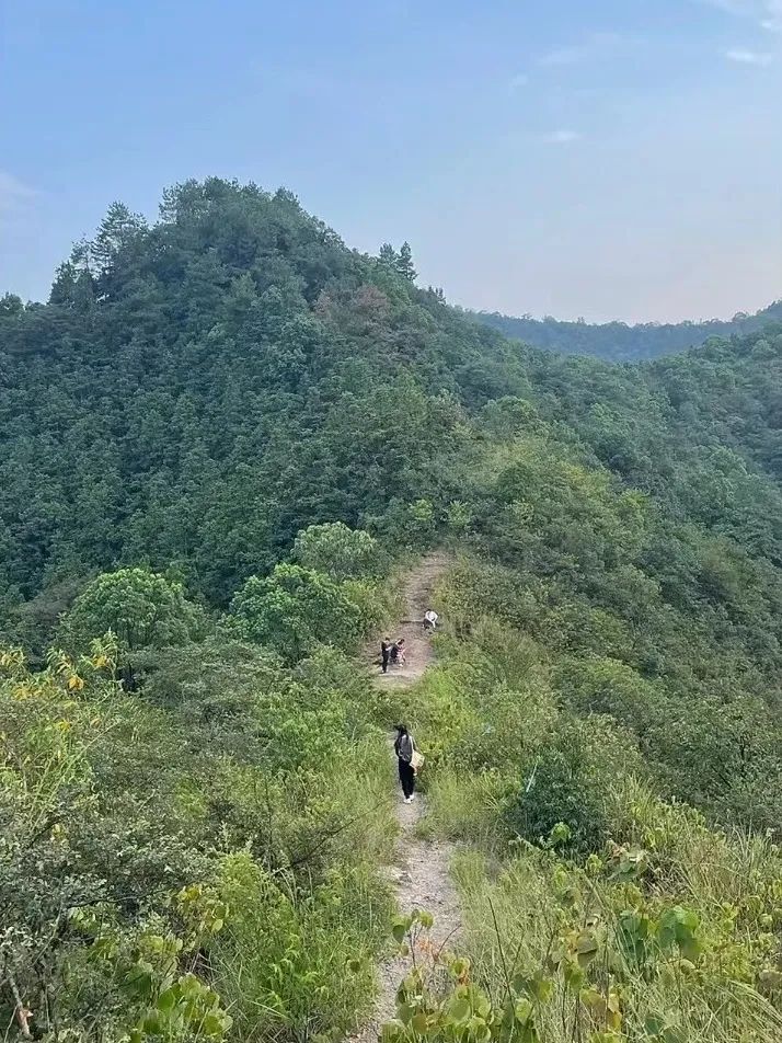 DƬ